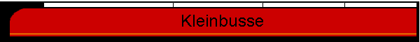 &nbsp;&nbsp;&nbsp;&nbsp;&nbsp;Kleinbusse